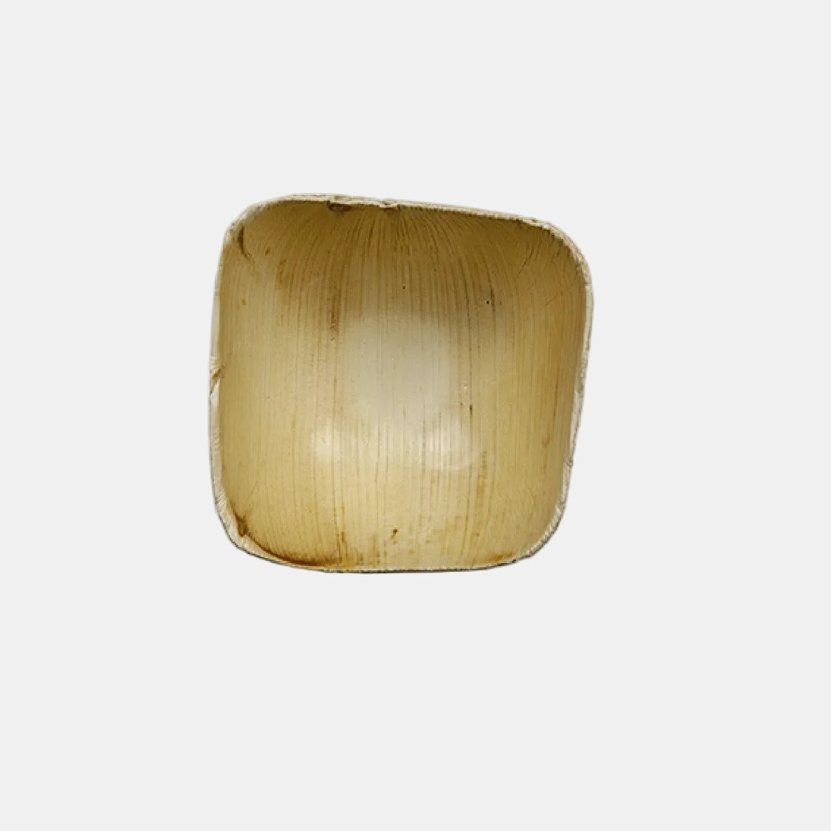 Taça alta quadrada biodegradável em forma de palmeira, 95 x 95 mm (240 unidades)
