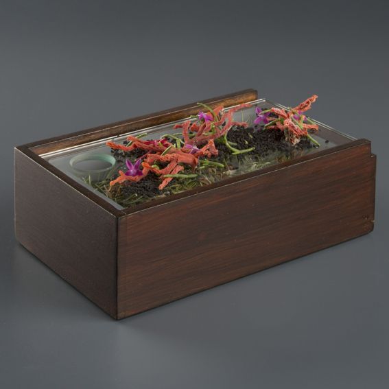 Caja de madera Corfú efecto bosque. 21 x 13 x 7cm - 1 Ud.