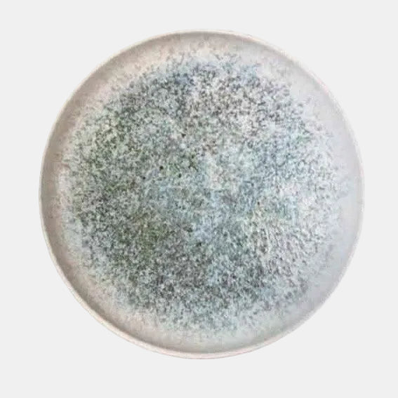 Plato pasta porcelana Ocean. ø28 cm - 6 Uds.