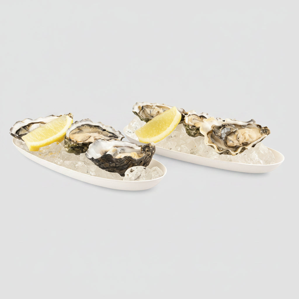 Oval tray made from biodegradable sugarcane. Various sizes - 480 units