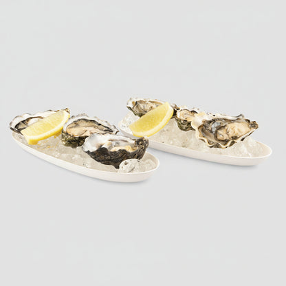 Oval tray made from biodegradable sugarcane. Various sizes - 480 units
