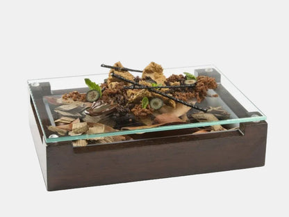 Caja de marisco madera y metacrilato. 25 x 18 x 7 cm - 1 ud.