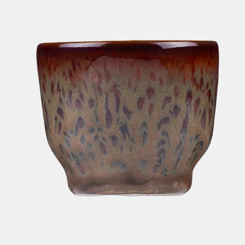Taza sin asa Hazel Marron rojo. 8 cl - 6 Uds.