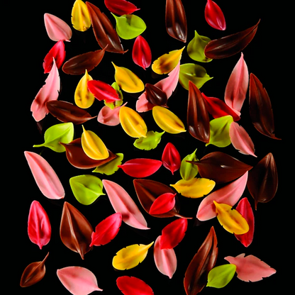 Espatula Inox Hoja. 8 x 4 cm. 1 Ud.